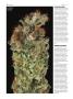 Page: - 68 | High Times
