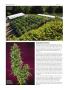 Page: - 78 | High Times