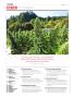 Page: - 8 | High Times
