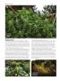 Page: - 88 | High Times
