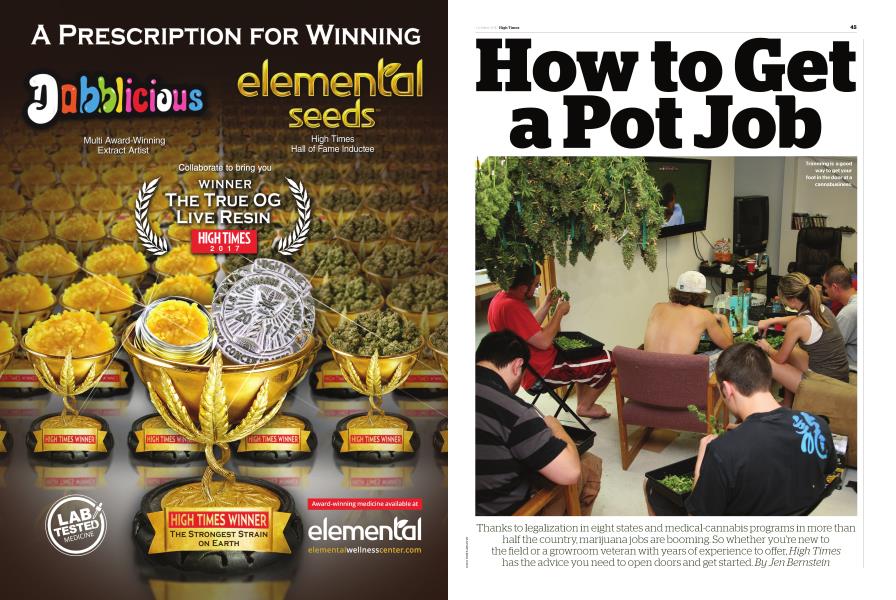 How to Get a Pot Job