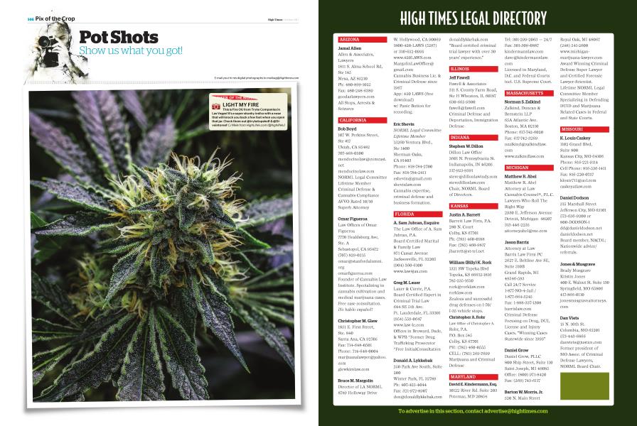 Pot Shots High Times October 2017