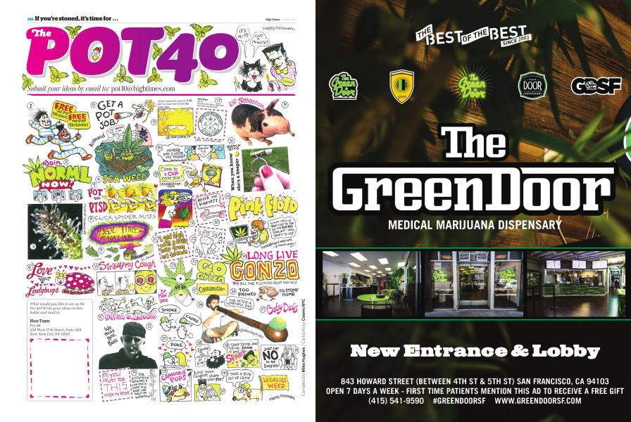 The POT 40