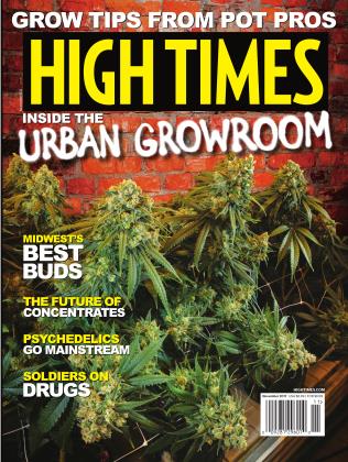 November 2017 | High Times