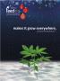 Page: - 103 | High Times
