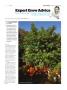 Page: - 109 | High Times