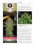 Page: - 112 | High Times