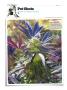 Page: - 136 | High Times