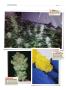 Page: - 138 | High Times