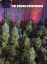 Page: - 69 | High Times