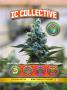 Page: - 71 | High Times