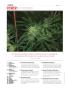 Page: - 8 | High Times