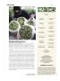 Page: - 12 | High Times