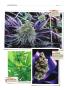 Page: - 138 | High Times