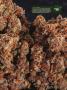 Page: - 21 | High Times