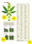 Page: - 40 | High Times