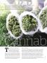 Page: - 44 | High Times