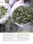Page: - 45 | High Times