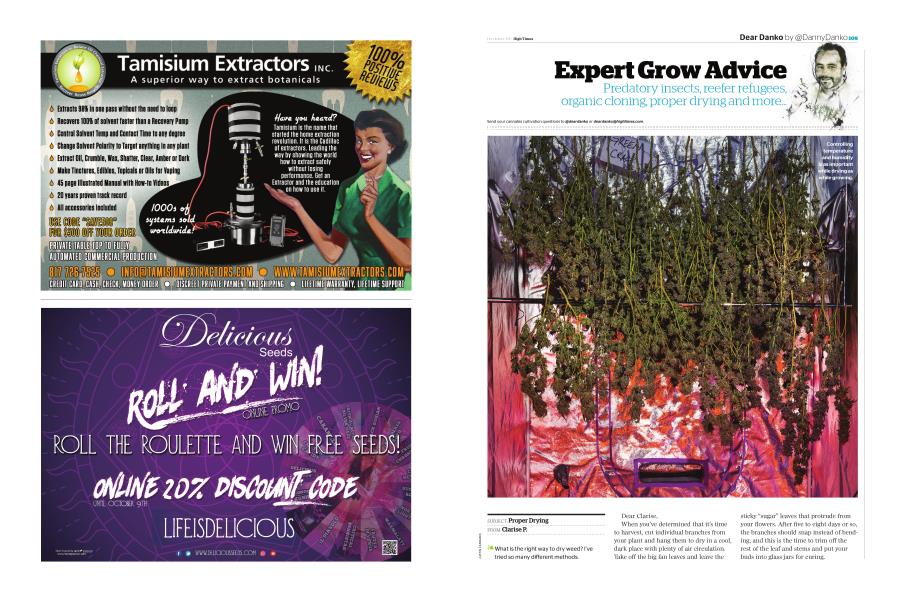 Expert Grow Advice