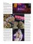 Page: - 102 | High Times