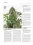 Page: - 110 | High Times