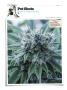 Page: - 136 | High Times