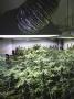 Page: - 20 | High Times