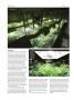 Page: - 46 | High Times