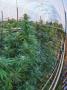 Page: - 69 | High Times
