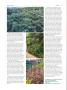 Page: - 74 | High Times