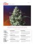 Page: - 8 | High Times
