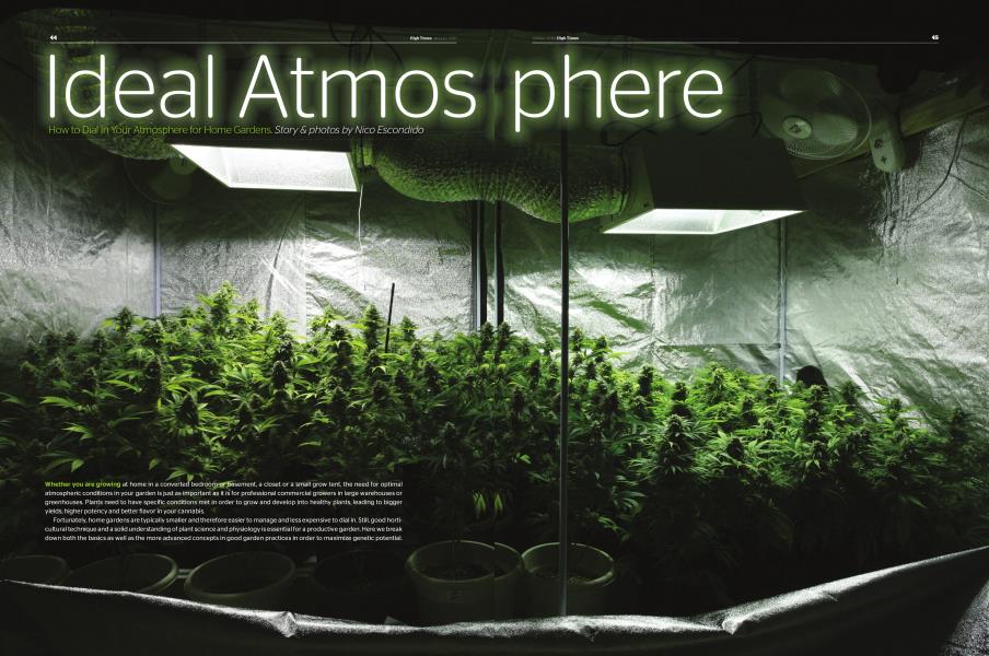 Ideal Atmosphere