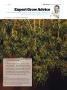 Page: - 109 | High Times