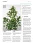 Page: - 110 | High Times