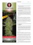 Page: - 112 | High Times
