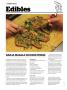Page: - 120 | High Times