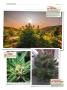 Page: - 132 | High Times