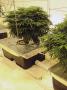 Page: - 20 | High Times