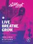 Page: - 35 | High Times
