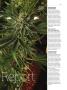 Page: - 67 | High Times