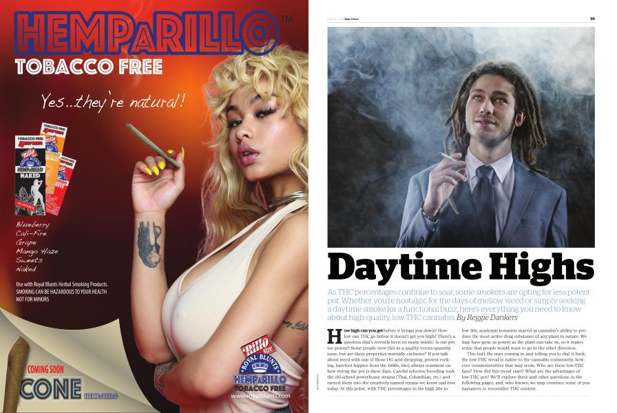 Daytime Highs