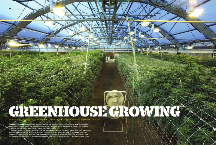 GREENHOUSE GROWING