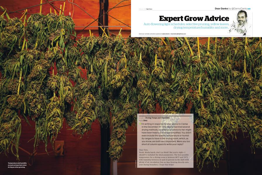 Expert Grow Advice