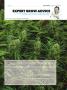 Page: - 109 | High Times
