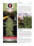Page: - 112 | High Times