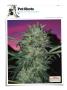 Page: - 130 | High Times