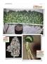 Page: - 132 | High Times
