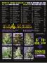 Page: - 142 | High Times