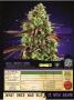 Page: - 143 | High Times