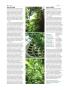 Page: - 48 | High Times